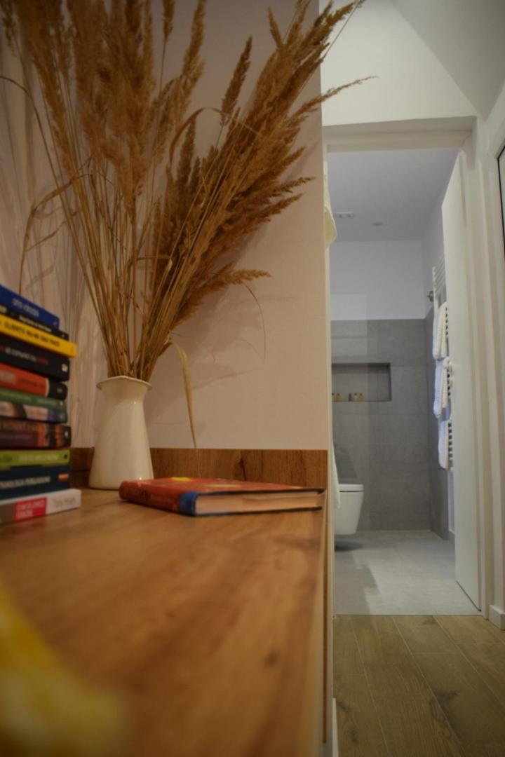 Voya Apartments - A Luxury Oasis In The Old Town Brasov Room photo